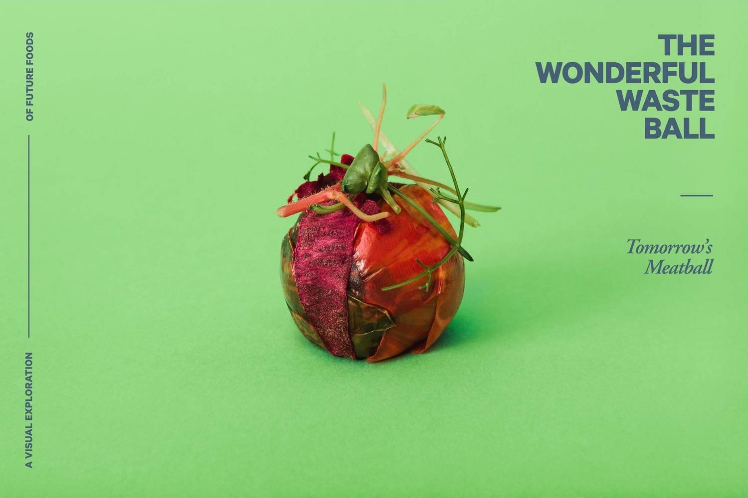 The Wonderful Waste Ball