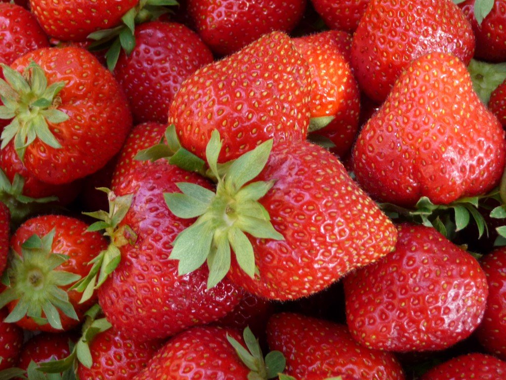 fraises-printemps