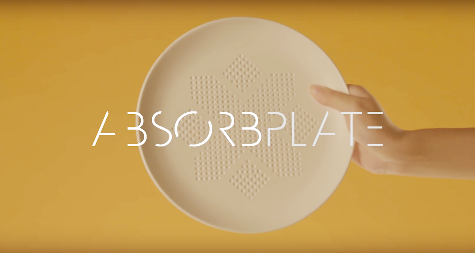 absorbplate-assiette-gras